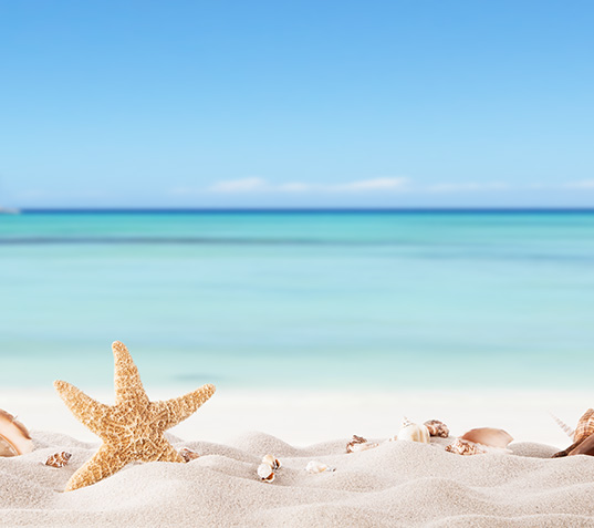 7 perfekte charterrejser!