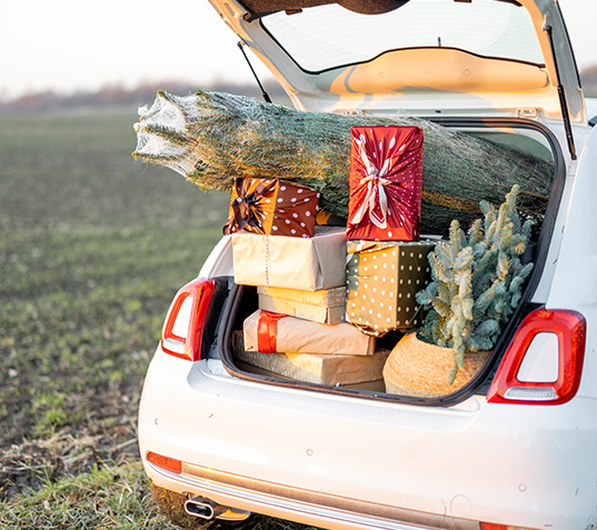 5 ting du skal huske, når du kører hjem til jul