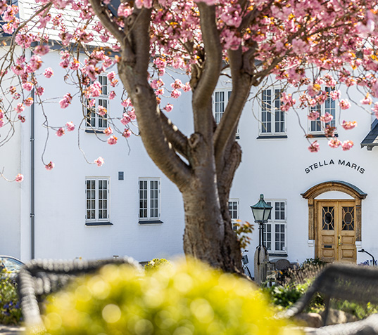 Stella Maris